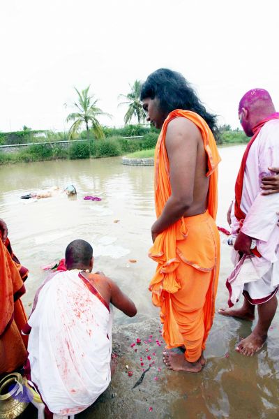 File:20101017IMG 0557 CMP WM0010.jpg