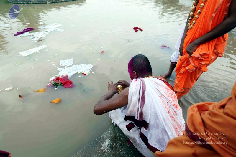 File:20101017IMG 0559 CMP WM0010.jpg