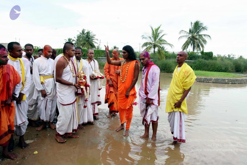 File:20101017IMG 0569 CMP WM0010.jpg