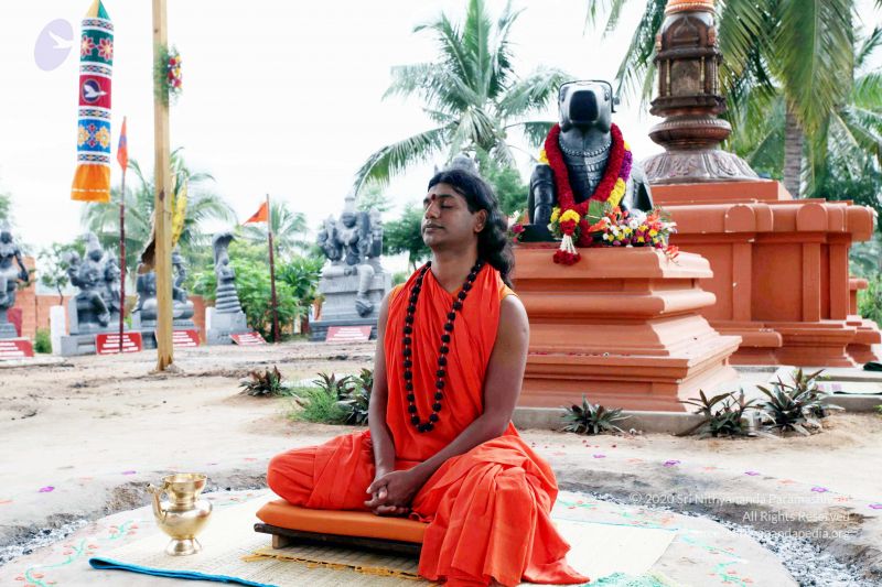 File:20101017IMG 0736 CMP WM01000.jpg