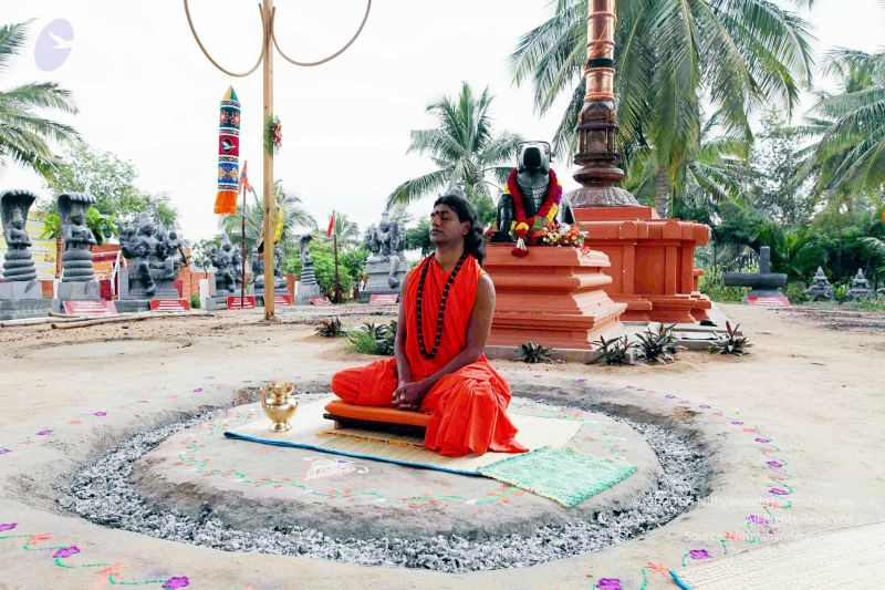 File:20101017IMG 0738 CMP WM01000.jpg