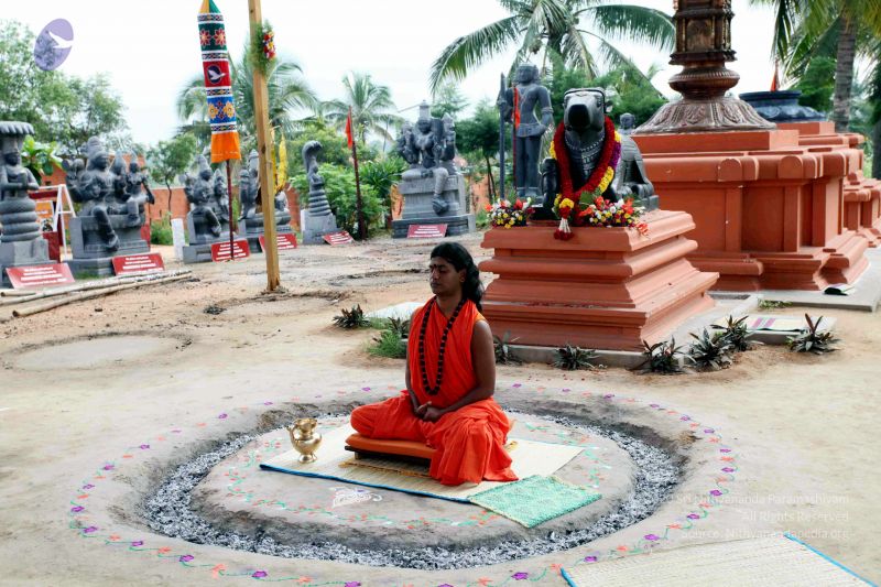 File:20101017IMG 0755 CMP WM01000.jpg