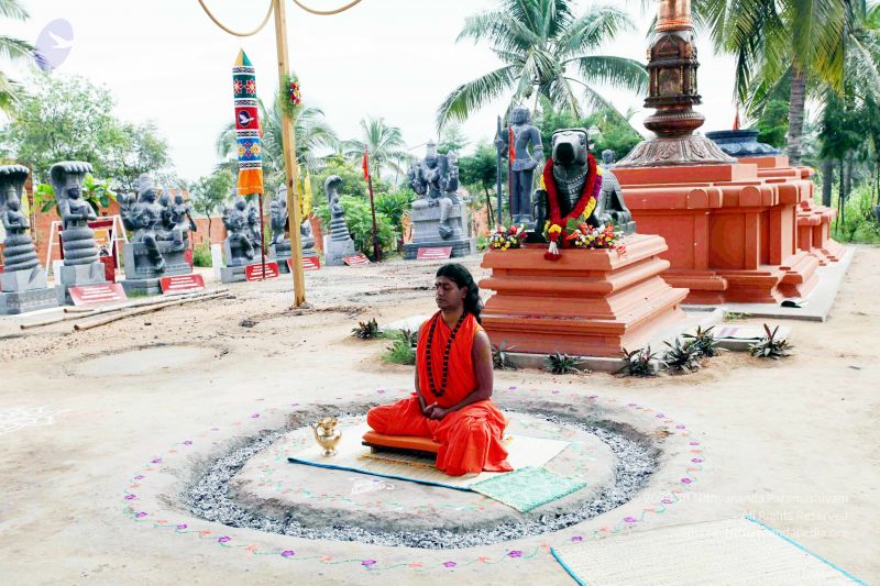 File:20101017IMG 0756 CMP WM01000.jpg