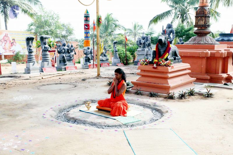 File:20101017IMG 0758 CMP WM01000.jpg