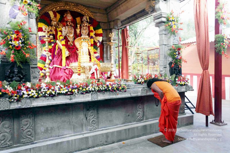 File:20101017IMG 0787 CMP WM01000.jpg