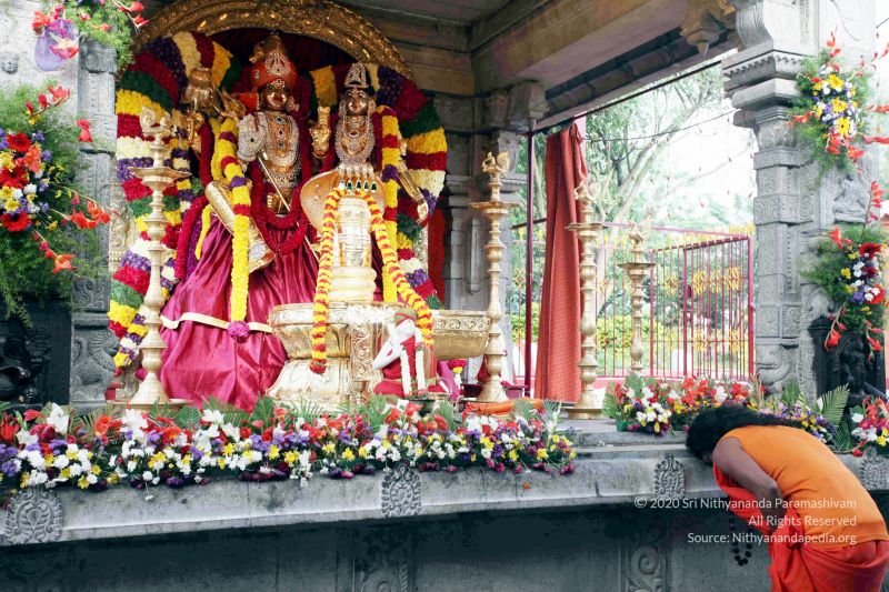 File:20101017IMG 0788 CMP WM01000.jpg