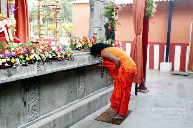 File:20101017IMG 0789 CMP WM01000.jpg