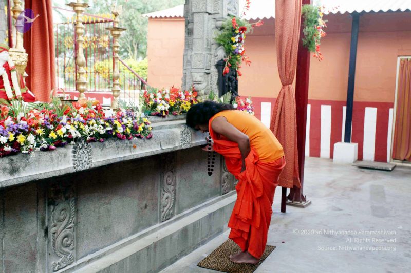 File:20101017IMG 0790 CMP WM01000.jpg