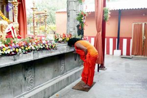 20101017IMG 0791 CMP WM01000.jpg