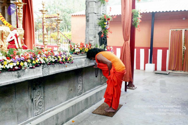 File:20101017IMG 0791 CMP WM01000.jpg