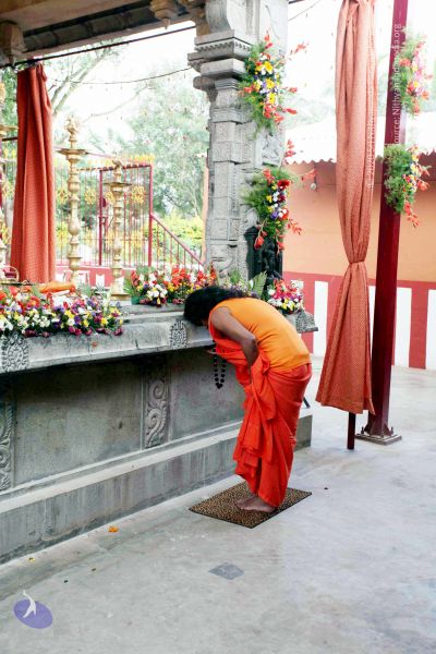 File:20101017IMG 0792 CMP WM01000.jpg