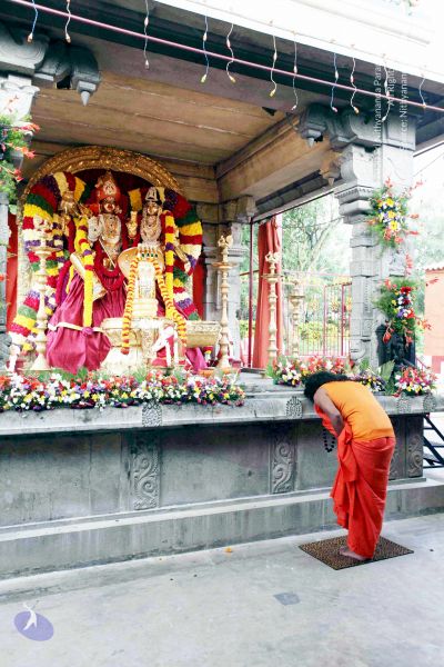 File:20101017IMG 0793 CMP WM01000.jpg