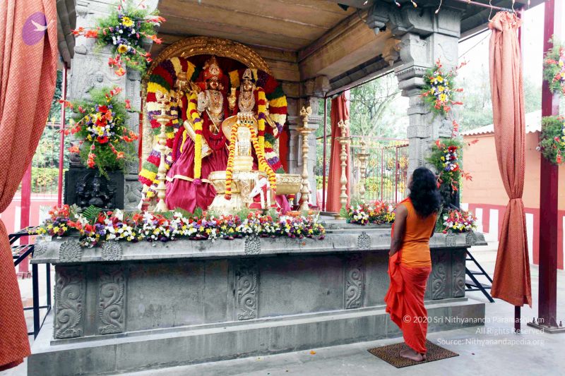 File:20101017IMG 0795 CMP WM01000.jpg