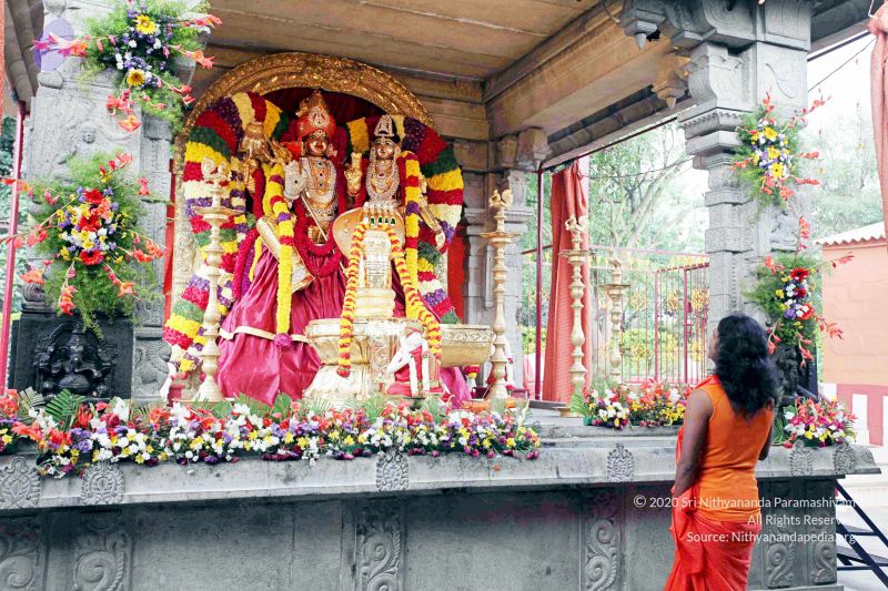 File:20101017IMG 0796 CMP WM01000.jpg