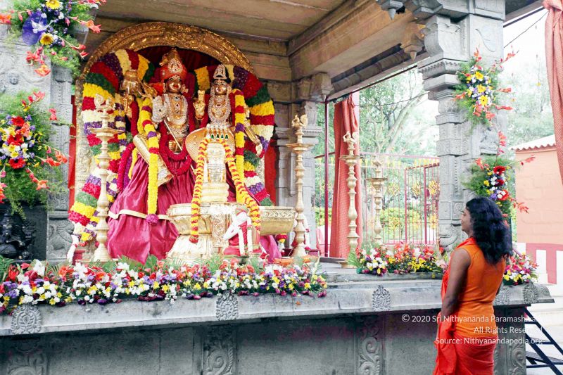 File:20101017IMG 0797 CMP WM01000.jpg