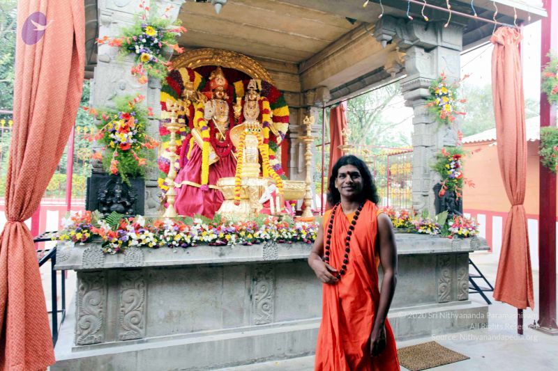 File:20101017IMG 0800 CMP WM01000.jpg