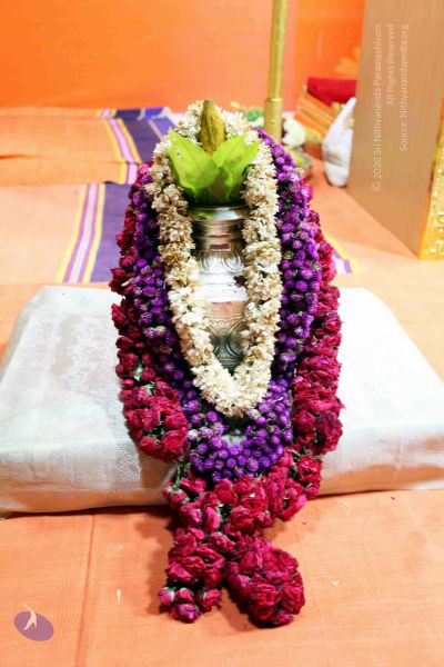 File:20101017IMG 0829 CMP WM01000.jpg