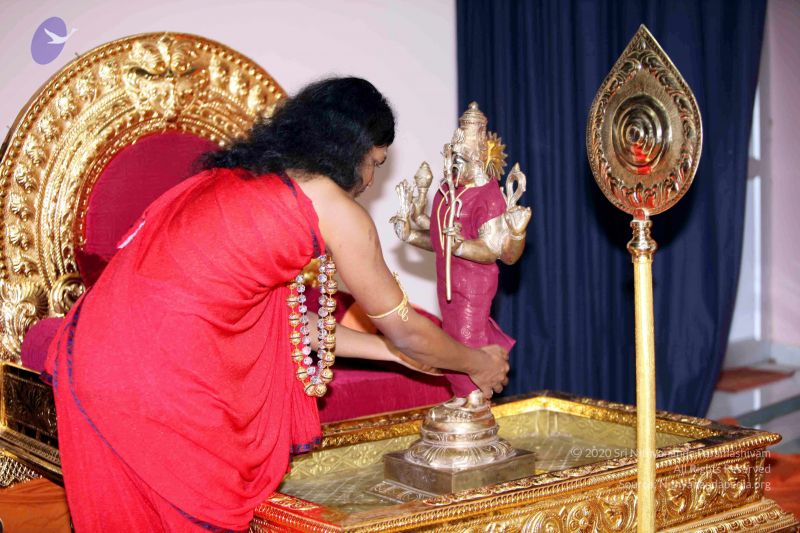 File:20101017IMG 0855 CMP WM01000.jpg