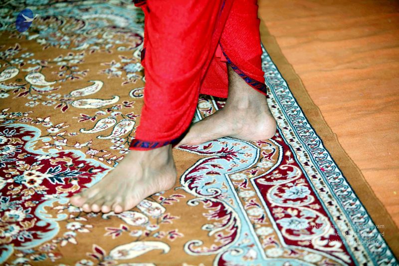 File:20101017IMG 0889 CMP WM01000.jpg