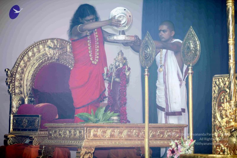 File:20101017IMG 0914 CMP WM0001000.jpg