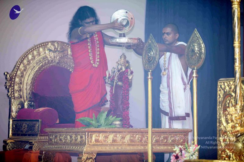 File:20101017IMG 0915 CMP WM0001000.jpg