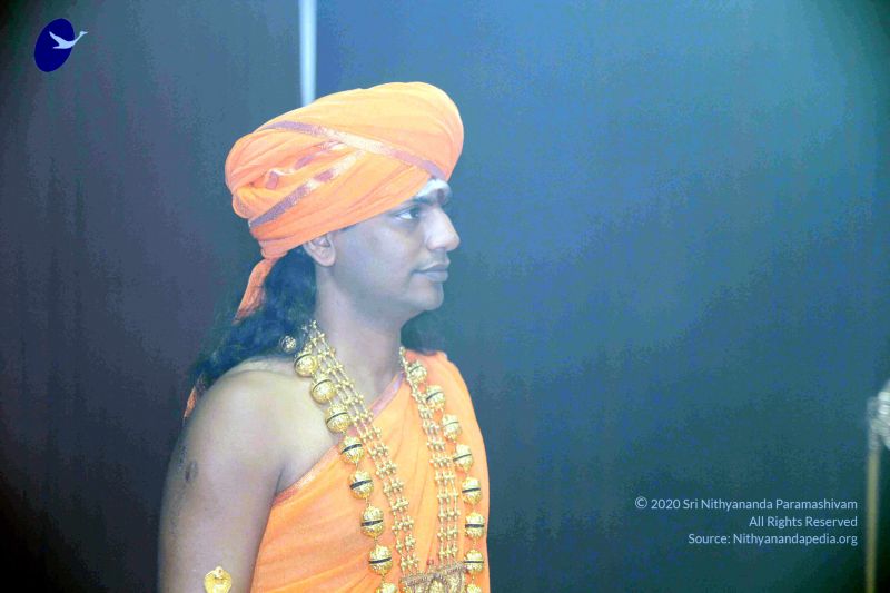 File:20101017IMG 0979 CMP WM010.jpg