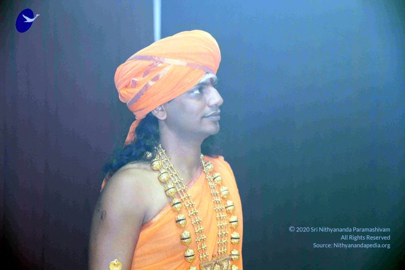 File:20101017IMG 0981 CMP WM010.jpg