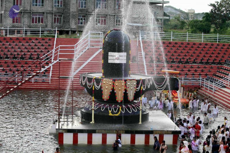 File:20101017IMG 0991 CMP WM0101010.jpg