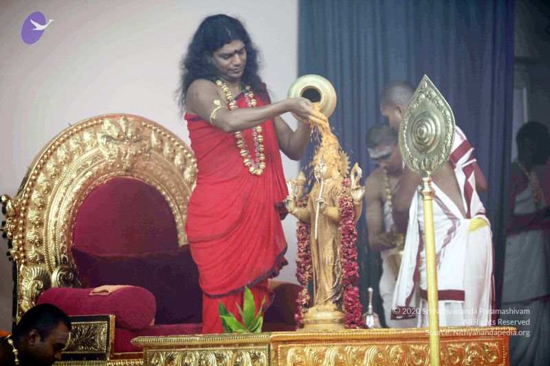 File:20101017IMG 1004 CMP WM0001000.jpg