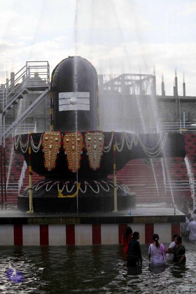 File:20101017IMG 1023 CMP WM0101010.jpg