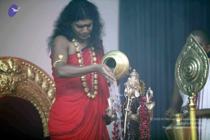 File:20101017IMG 1026 CMP WM0001000.jpg