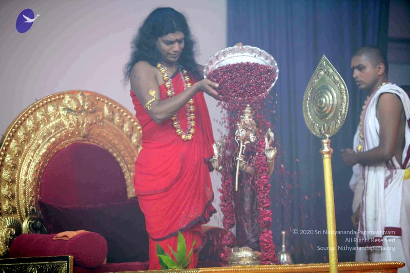 File:20101017IMG 1032 CMP WM0001000.jpg