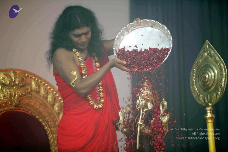 File:20101017IMG 1033 CMP WM0001000.jpg