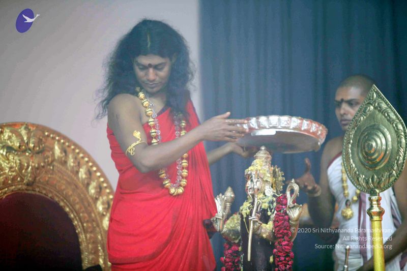 File:20101017IMG 1049 CMP WM0001000.jpg