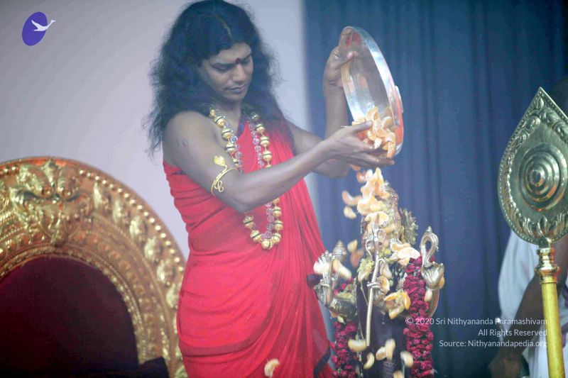 File:20101017IMG 1051 CMP WM0001000.jpg