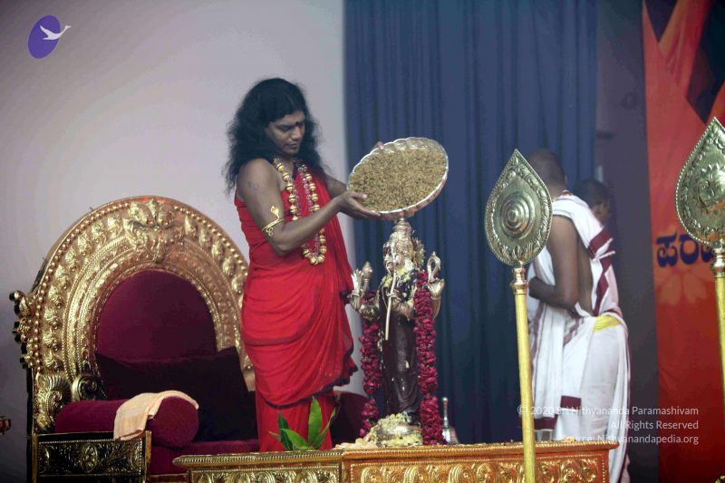 File:20101017IMG 1059 CMP WM0001000.jpg