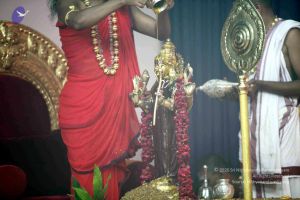 20101017IMG 1095 CMP WM0001000.jpg