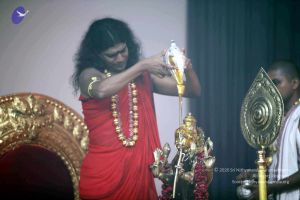 20101017IMG 1098 CMP WM0001000.jpg