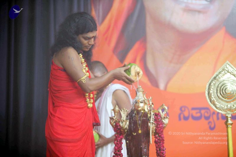 File:20101017IMG 1118 CMP WM0001000.jpg