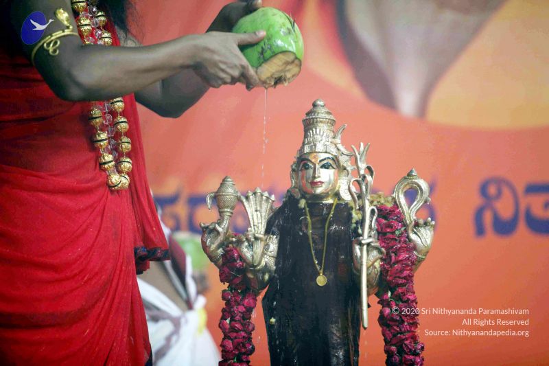 File:20101017IMG 1121 CMP WM0001000.jpg