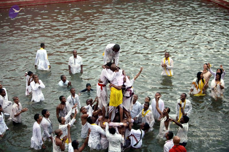 File:20101017IMG 1168 CMP WM0101010.jpg