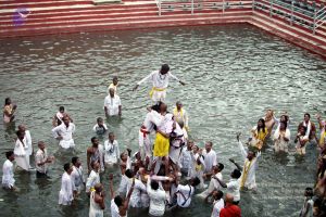 20101017IMG 1170 CMP WM0101010.jpg