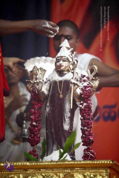 File:20101017IMG 1243 CMP WM0001000.jpg