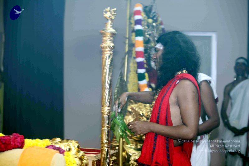 File:20101017IMG 1271 CMP WM0001000.jpg