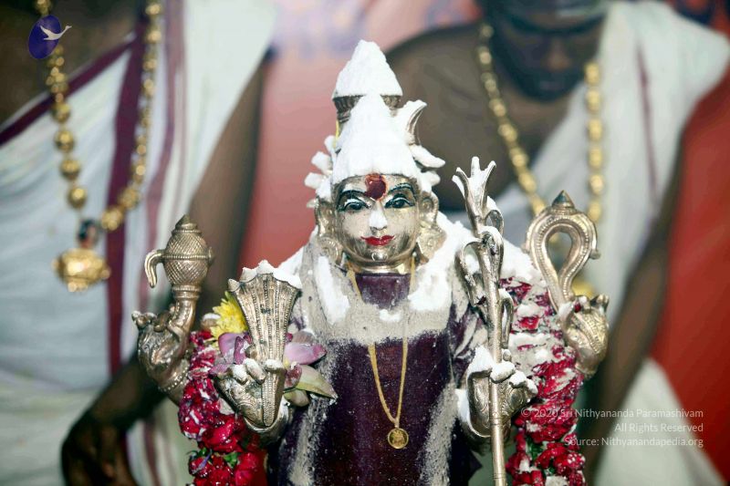 File:20101017IMG 1276 CMP WM0001000.jpg