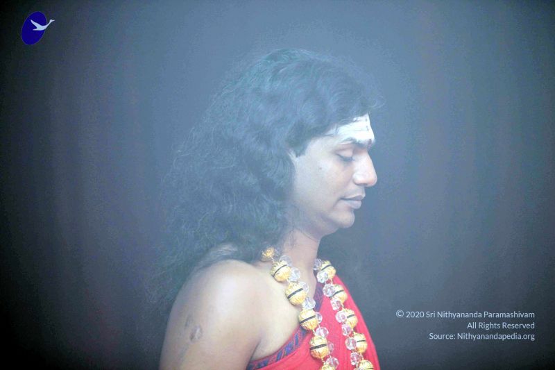 File:20101017IMG 1284 CMP WM0001000.jpg