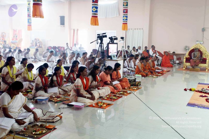 File:20101017IMG 1544 CMP WM01000.jpg