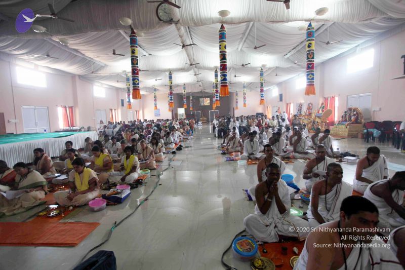 File:20101017IMG 1552 CMP WM01000.jpg