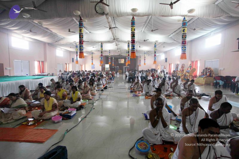 File:20101017IMG 1555 CMP WM01000.jpg