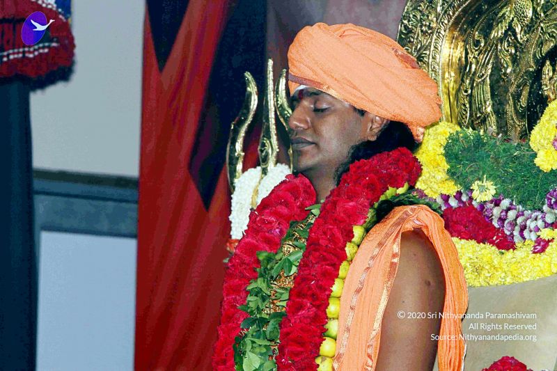 File:20101017IMG 9544 CMP WM010.jpg